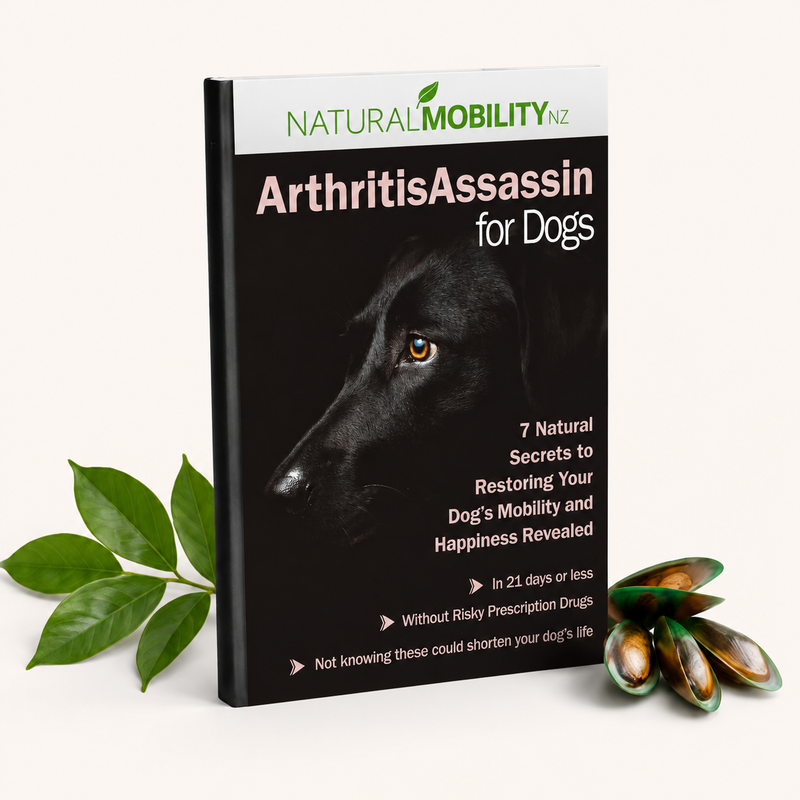 Become better equipped to recognise and respond to joint pain