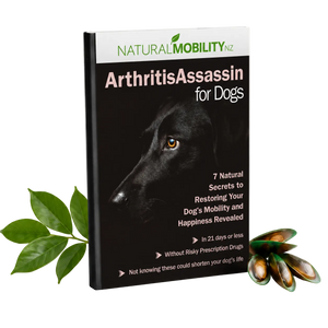 Take the first step towards a more comfortable, happier life for your dog.