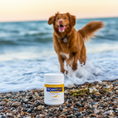 Load image into Gallery viewer, Technyflex Canine for Dogs 100g powder tub