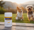 Load image into Gallery viewer, Technyflex Canine for Dogs 200g powder tub