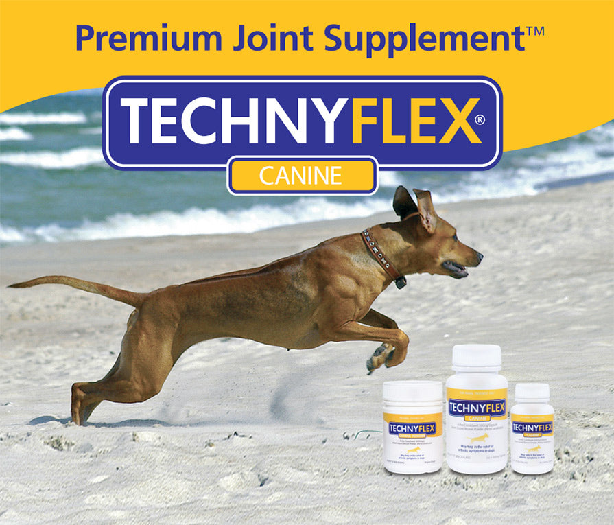Technyflex - Natural arthritis and joint pain relief for dogs