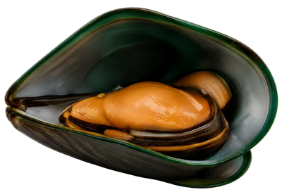 Whole Green-Lipped Mussel